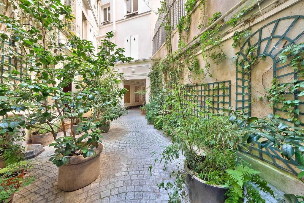 Entrée — Cour intérieure plantée