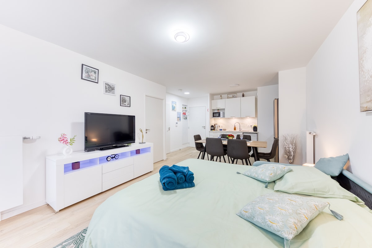 43 Rue Carnot, 94700 Maisons-Alfort