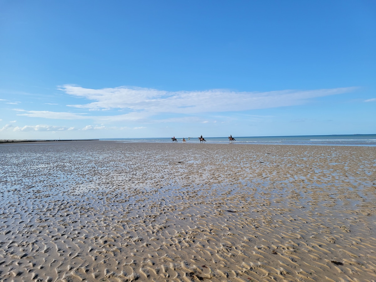 Extérieur — Plage avec cavaliers à cheval mer