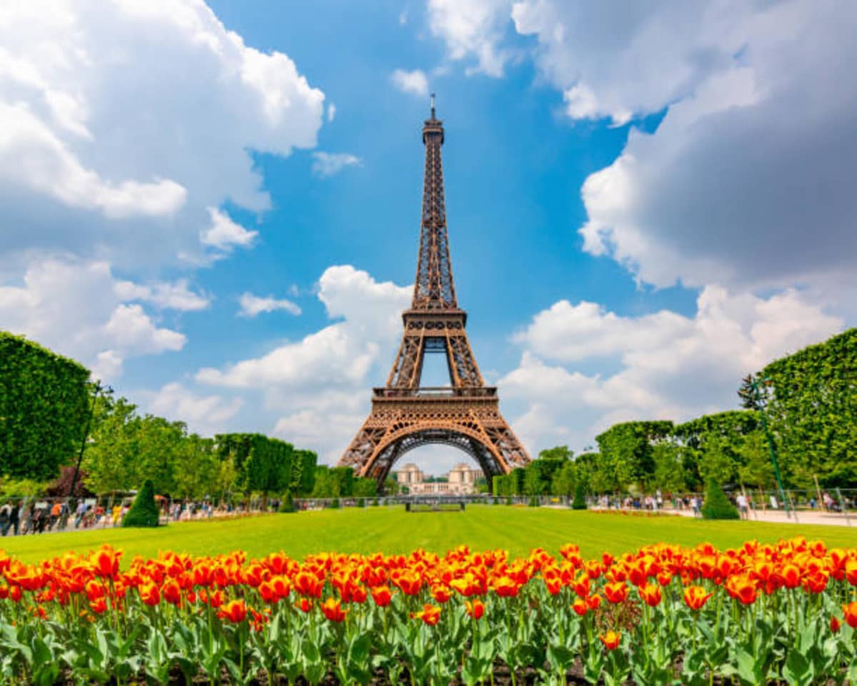 Vues — Tour Eiffel avec tulipes rouges