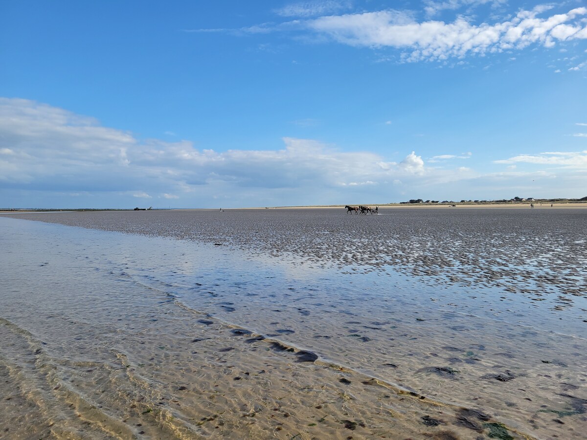 Extérieur — Plage de sable et eau peu profonde
