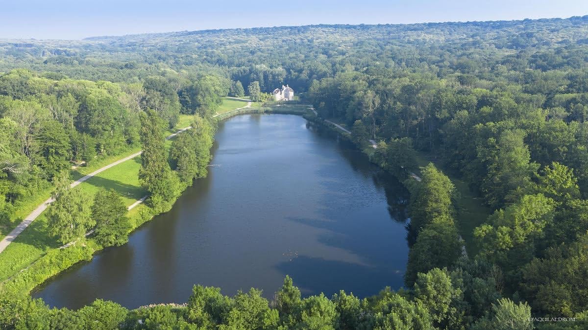 Vues — Rivière sinueuse entourée de forêt dense